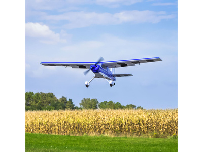 EFL4950_a14.jpg