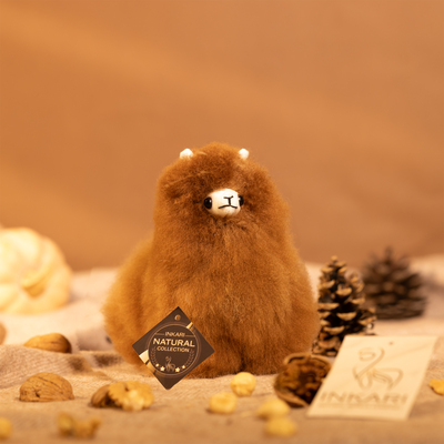 Image 3 B mi Hazelnut6949tudio Pic.jpg