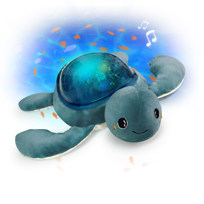 AGS/AAQ02R-TURTLE/1.jpg