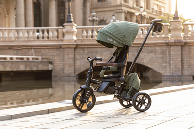 AGS/T70-olive/a.jpg