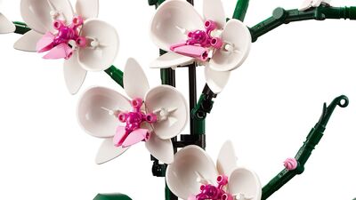 LEGO_10311_alt3.jpg