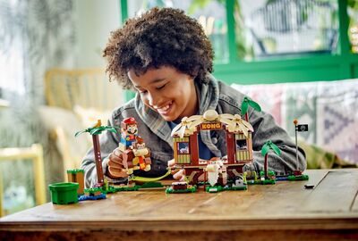 LEGO_71424_alt3.jpg