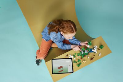 LEGO_21593_Lifestyle_Build.jpg