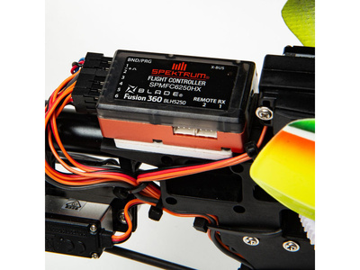 BLH5900_a09.jpg