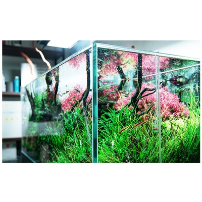 neo-diffuser-tiny-dyfuzor-co2-mini (2).jpg