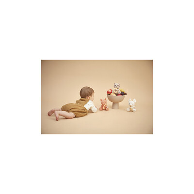 teething-ring-plush-toy-squirrel (6).jpg