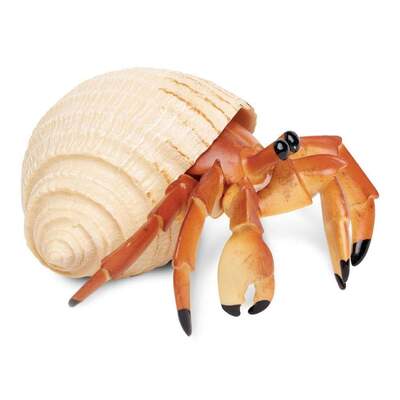 8eb52a26f42797d24d3e1f00_1000x1000_crop_center.jpg