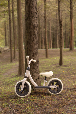 AGS/B-700-2-beige/c.jpg