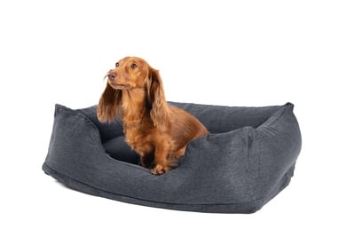 intex-klein-opblaasbaar-hondenbed-79x58x22-cm (4).jpg