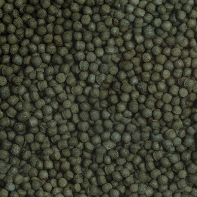 sera_Cichlid_Green_XL_Nature_Detail.jpg