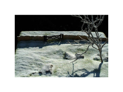 DM-BD29_6.jpg