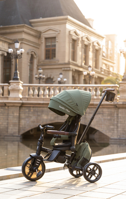 AGS/T70-olive/c.jpg