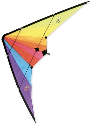 V2947.kite.jpg
