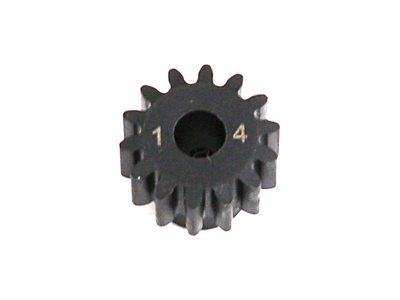 LOSA3574.jpg