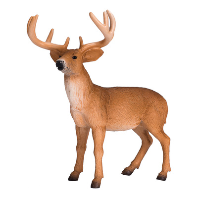 387038_5.animal.jpg