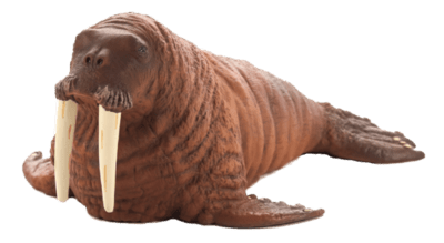 387209_Walrus-540x295.png
