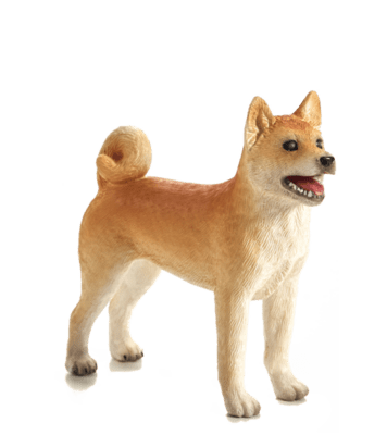 387140_Shiba_Inu-1-480x540 (1).png