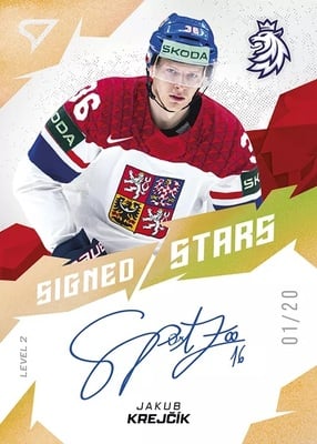 Signed Stars - Level 2 x_20 - 41.jpg