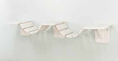 45596_0.jpg