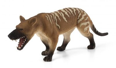 Mojo-Toys-Singles-112016-2539-e1484902736298-540x315.jpg