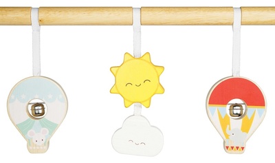 PL111_Baby_Gym_2.jpg