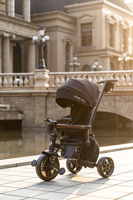 AGS/T70-black/FA8A6881.jpg