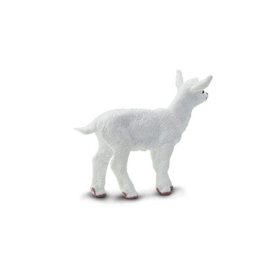 05cf8932af87íí1ed82c_center.jpg