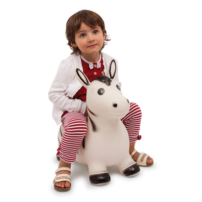 6793_5.huepfzebra.jpg