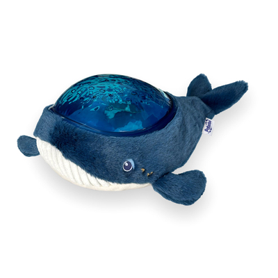 AGS/BALEINE/1.jpg