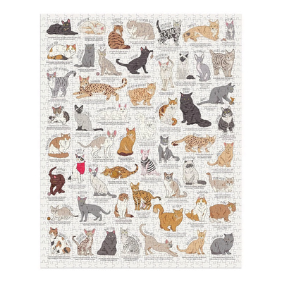 5055923785751_2.puzzle.jpg