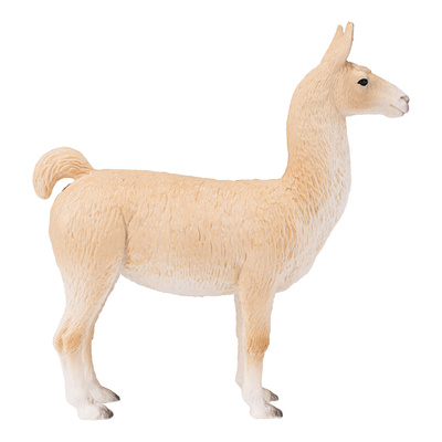 387391_3.animal.jpg