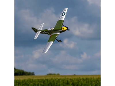 EFL02650-04.jpg