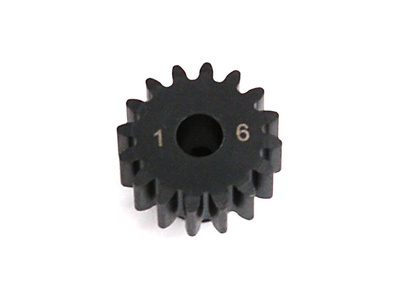 LOSA3576.jpg
