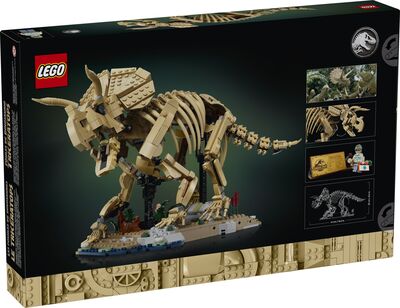 LEGO_77985_Box5_v39.jpg