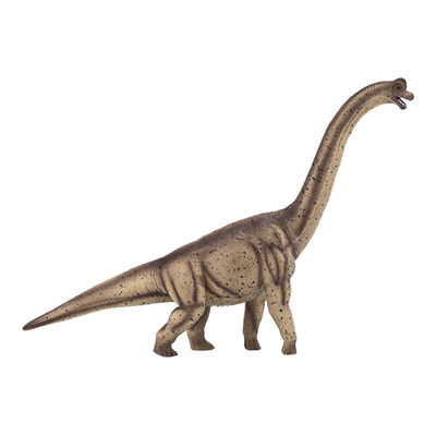 387381_1.animal.jpg