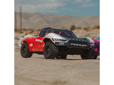 ARA4303V4T2-05.jpg