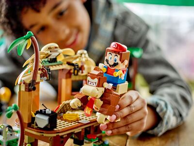 LEGO_71424_alt5.jpg