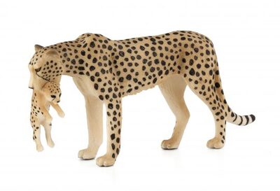Mojo-Toys-Singles-112016-2571-e1484904482450-540x369 (1).jpg