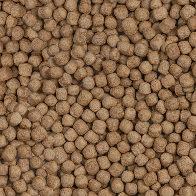 ezgif-74d97e2f9178aba2.jpg