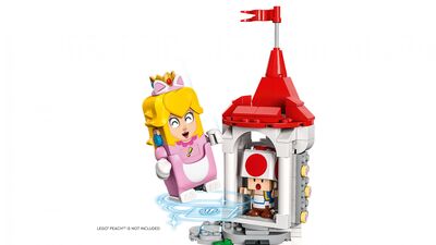 LEGO_71407_WEB_SEC05_NOBG.jpg