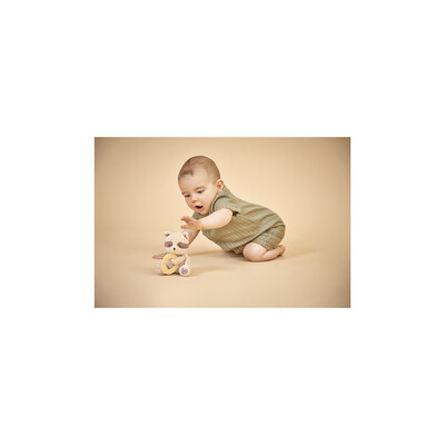 teething-ring-plush-toy-raccoon (1).jpg