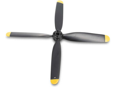 EFL-1091.jpg