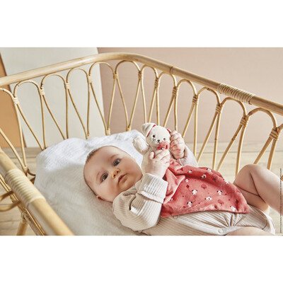 doudou-dog-brick (6).jpg