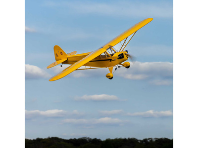 HAN5005-10.jpg