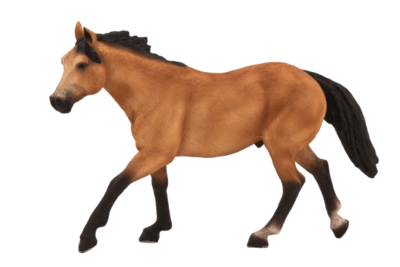 387121_Quarter_Horse_Buckskin-540x360.png