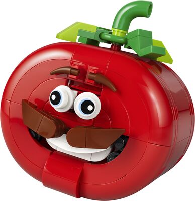 LEGO_77079.jpg