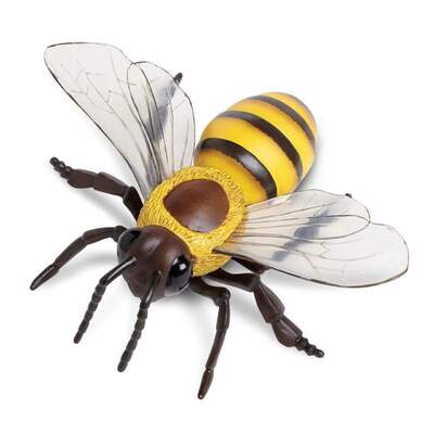 454e16372_1000x1000_crop_center.jpg