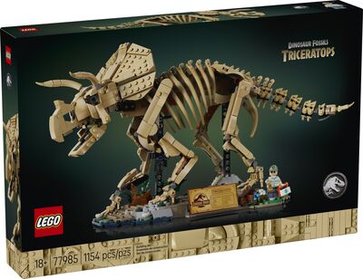 LEGO_77985_Box1_v39.jpg