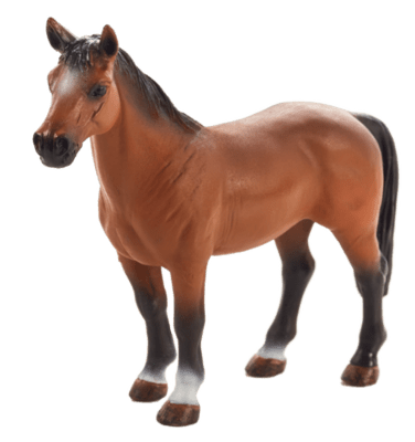 387350_Trakehner-508x540 (1).png