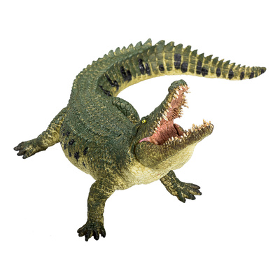 387162_1.animal.jpg